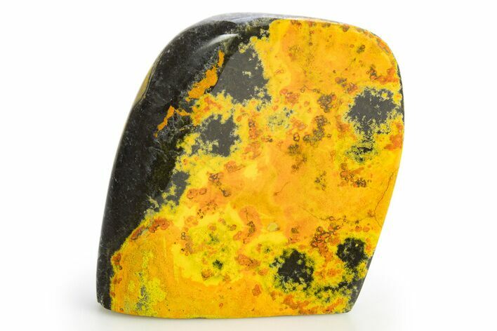 Very Vibrant, Free-Standing Polished Bumblebee Jasper #312044